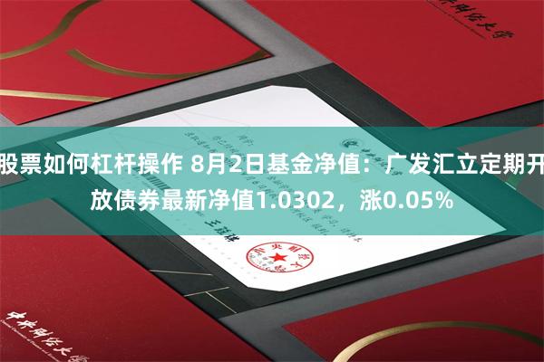 股票如何杠杆操作 8月2日基金净值：广发汇立定期开放债券最新净值1.0302，涨0.05%