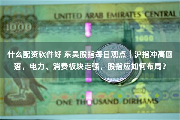 什么配资软件好 东吴股指每日观点｜沪指冲高回落，电力、消费板块走强，股指应如何布局？