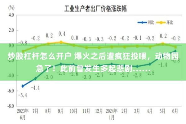 炒股杠杆怎么开户 爆火之后遭疯狂投喂，动物园急了！此前曾发生多起悲剧……