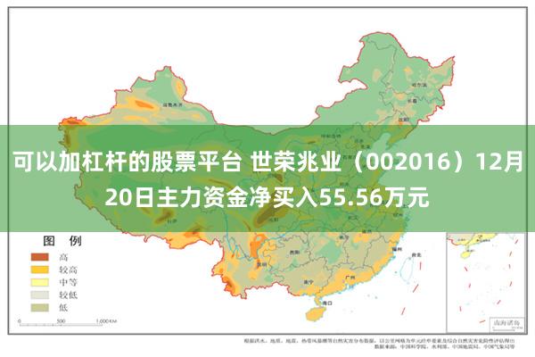 可以加杠杆的股票平台 世荣兆业（002016）12月20日主力资金净买入55.56万元