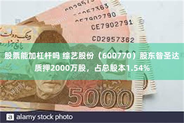 股票能加杠杆吗 综艺股份（600770）股东昝圣达质押2000万股，占总股本1.54%