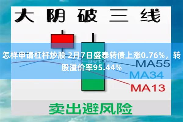 怎样申请杠杆炒股 2月7日盛泰转债上涨0.76%，转股溢价率95.44%