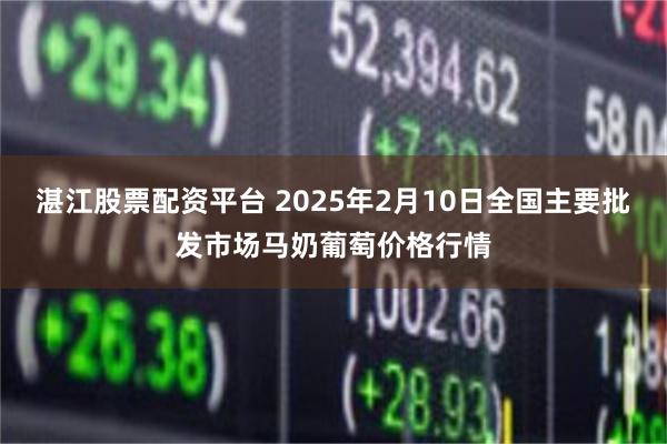 湛江股票配资平台 2025年2月10日全国主要批发市场马奶葡萄价格行情