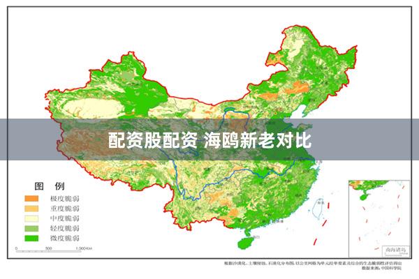 配资股配资 海鸥新老对比